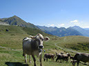 %_tempFileNameLandschaft_38%