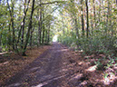 %_tempFileNameLandschaft_45%