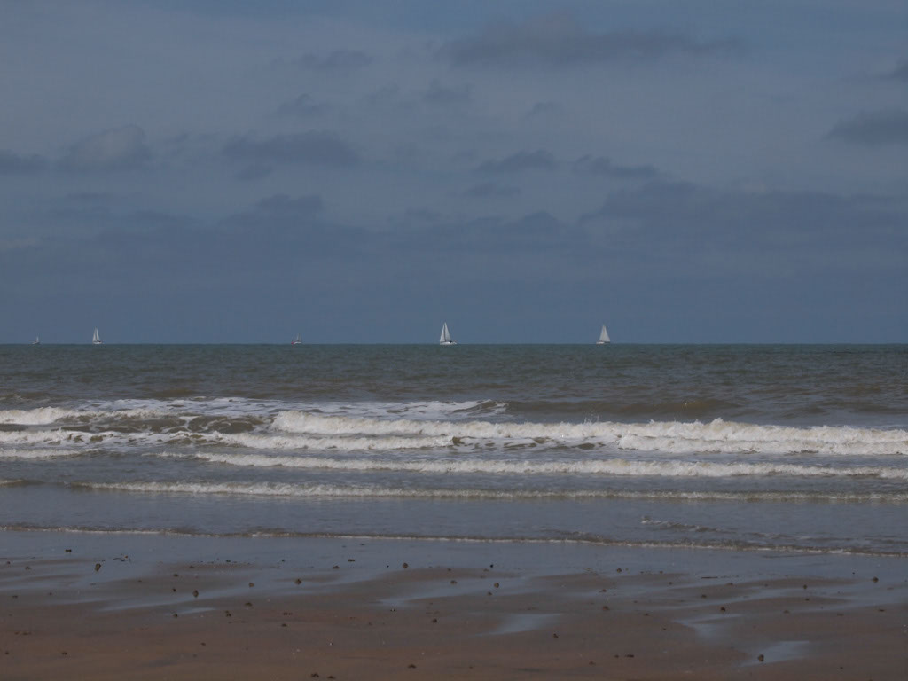 %_tempFileNameMeer_08%