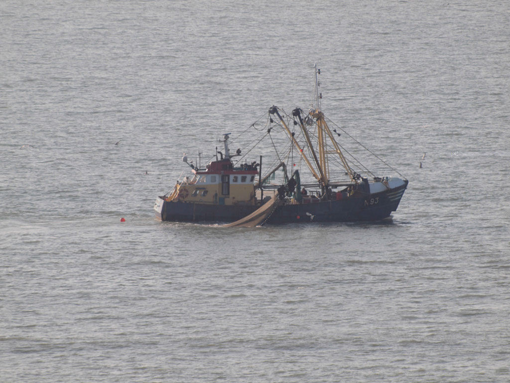 %_tempFileNameMeer_13%