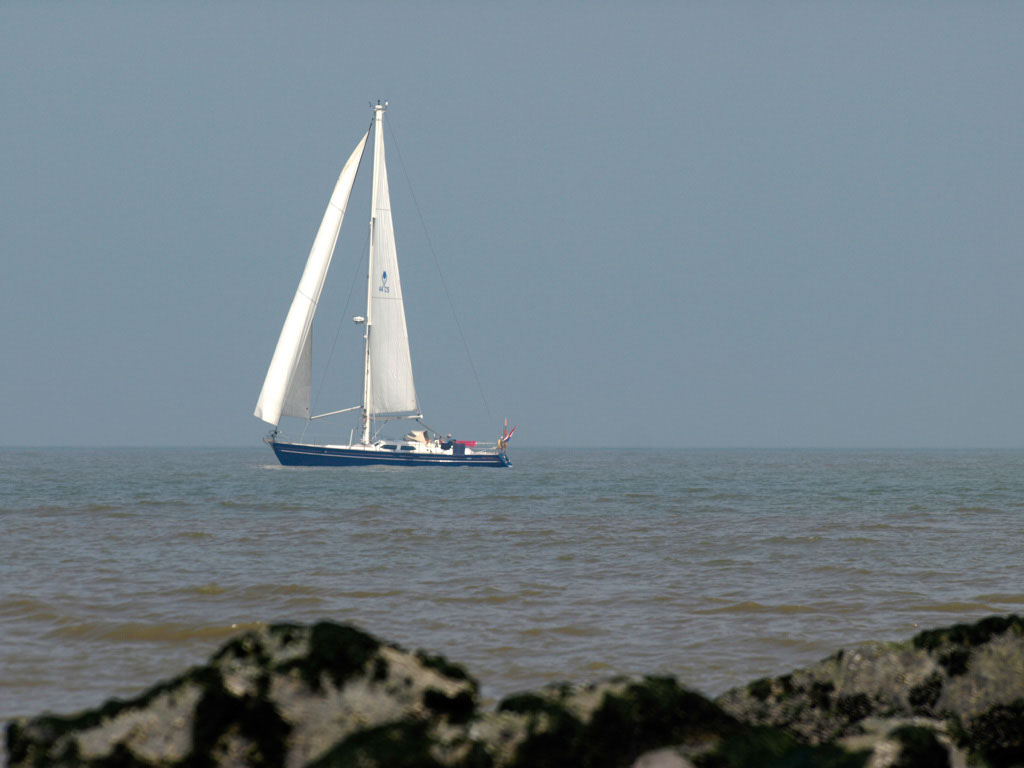 %_tempFileNameMeer_30%
