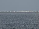 %_tempFileNameMeer_09%