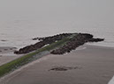 %_tempFileNameMeer_19%