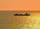 %_tempFileNameMeer_35%