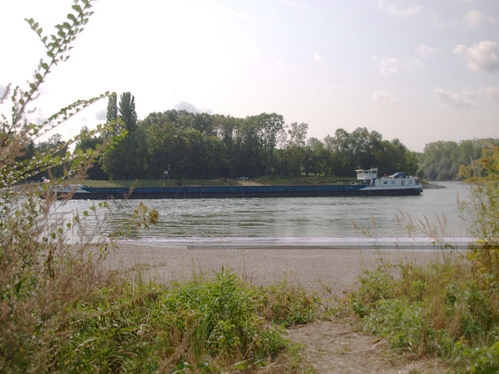 %_tempFileNameSchiffe_20%